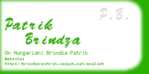patrik brindza business card